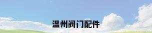 温州阀门配件