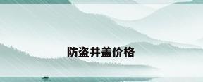 防盗井盖价格