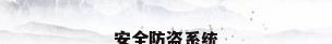 安全防盗系统