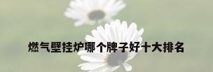 燃气壁挂炉哪个牌子好十大排名