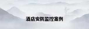 酒店安防监控案例