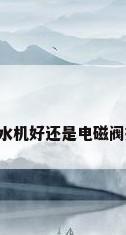 电动阀控水机好还是电磁阀控水机好?