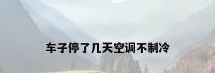 车子停了几天空调不制冷