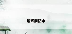铺砖前防水