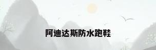 阿迪达斯防水跑鞋