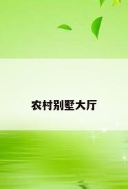 农村别墅大厅