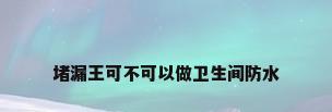 堵漏王可不可以做卫生间防水