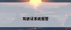 驾驶证系统报警