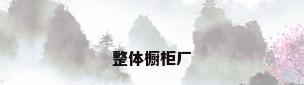 整体橱柜厂