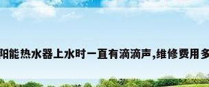 太阳能热水器上水时一直有滴滴声,维修费用多少