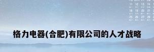 格力电器(合肥)有限公司的人才战略