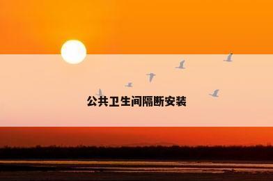 公共卫生间隔断安装