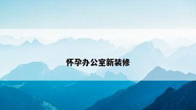 怀孕办公室新装修