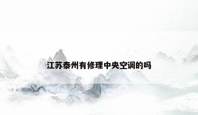 江苏泰州有修理中央空调的吗