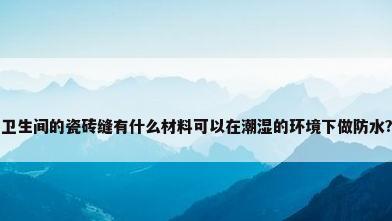 卫生间的瓷砖缝有什么材料可以在潮湿的环境下做防水?