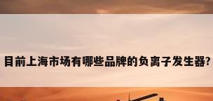 目前上海市场有哪些品牌的负离子发生器?