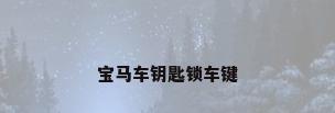 宝马车钥匙锁车键