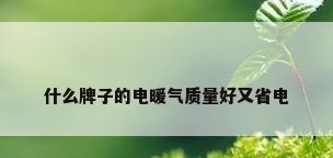 什么牌子的电暖气质量好又省电