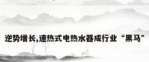 逆势增长,速热式电热水器成行业“黑马”