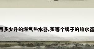 一般家庭用多少升的燃气热水器,买哪个牌子的热水器好又实惠?