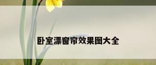 卧室漂窗帘效果图大全