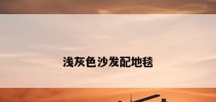 浅灰色沙发配地毯