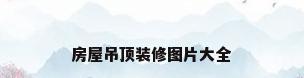 房屋吊顶装修图片大全