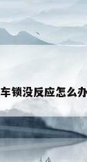 车锁没反应怎么办