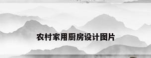 农村家用厨房设计图片