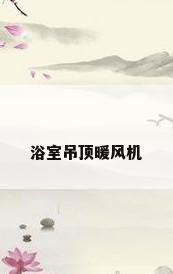 浴室吊顶暖风机