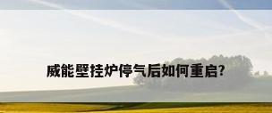 威能壁挂炉停气后如何重启?