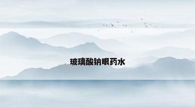 玻璃酸钠眼药水