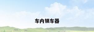 车内锁车器