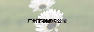 广州市钢结构公司