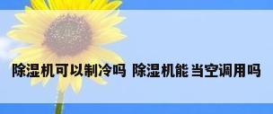 除湿机可以制冷吗 除湿机能当空调用吗