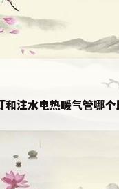 电油汀和注水电热暖气管哪个比较好