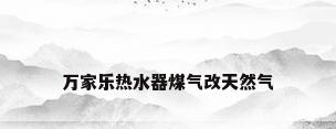 万家乐热水器煤气改天然气