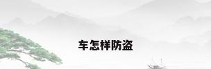 车怎样防盗