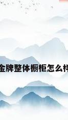 金牌整体橱柜怎么样