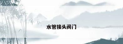 水管接头阀门