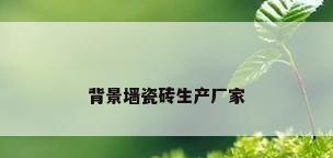 背景墙瓷砖生产厂家