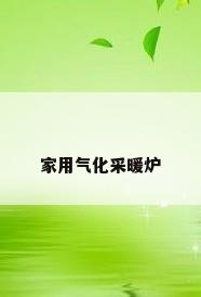 家用气化采暖炉