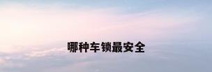 哪种车锁最安全