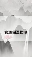 管道保温检测