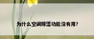 为什么空调除湿功能没有用?