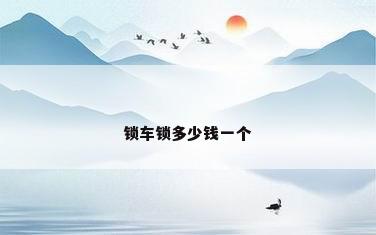 锁车锁多少钱一个