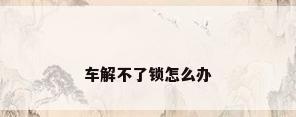 车解不了锁怎么办