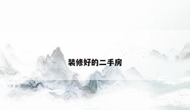 装修好的二手房