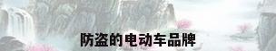 防盗的电动车品牌