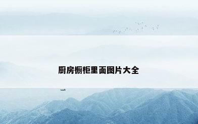 厨房橱柜里面图片大全